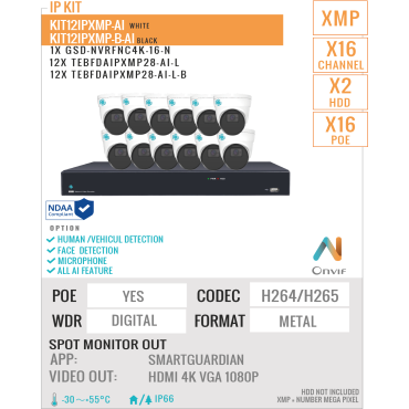 KIT12IP5MP-AI-4T