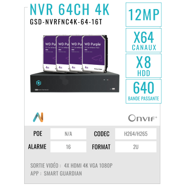 GSD-NVRFNC4K-64-16T