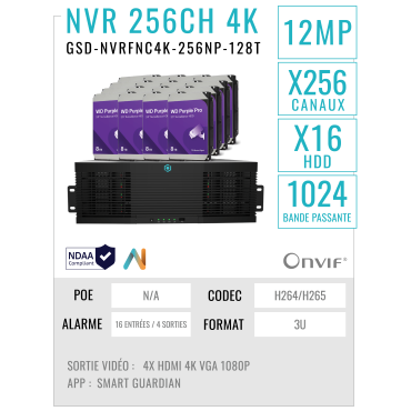 GSD-NVRFNC4K-256NP-128T