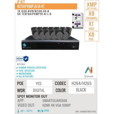 KIT6IP5MP-AI-B-8T