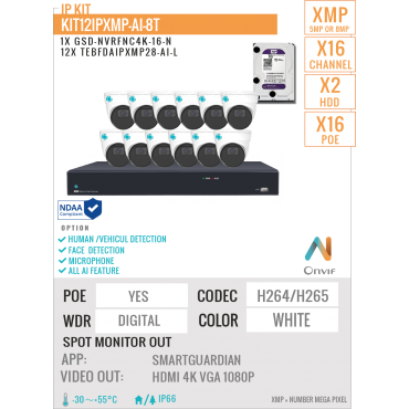 KIT12IP8MP-AI-4T