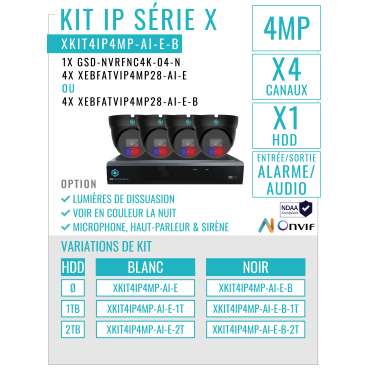 XKIT4IP4MP-AI-E-B