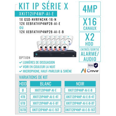 XKIT12IP4MP-AI-E