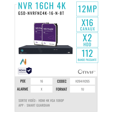 GSD-NVRFNC4K-16-N-8T